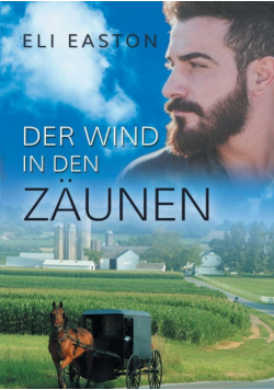 Der Wind In den Zäunen