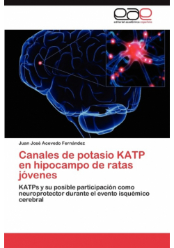 Canales de Potasio Katp En Hipocampo de Ratas Jovenes