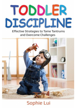 Toddler Discipline