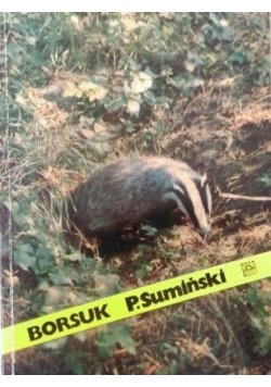 Borsuk