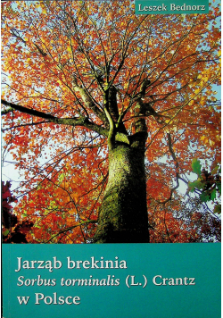 Jarząb brekinia sorbus torminalis (L.) Crantz w Polsce