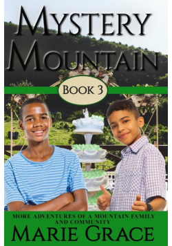 Mystery Mountain, Book Three