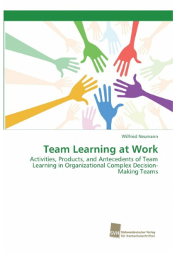 Team Learning at Work