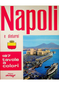 Napoli e dintorni