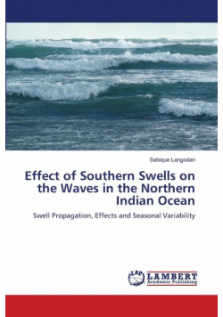 Effect of Southern Swells on the Waves in the Northern Indian Ocean