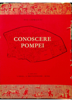 Conoscere Pompei