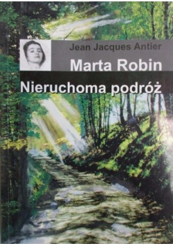Nieruchoma podróż