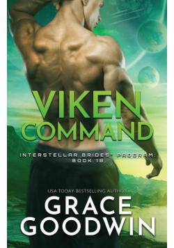 Viken Command