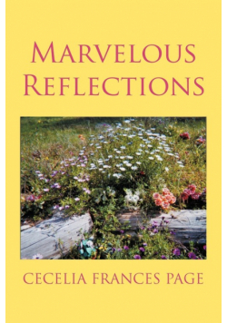 Marvelous Reflections