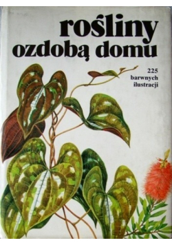 Rośliny ozdobą domu