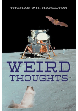 Weird Thoughts