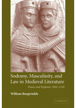 Sodomy, Masculinity and Law in Medieval Literature