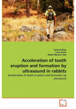 Acceleration of tooth eruption and formation by ultrasound in rabbits