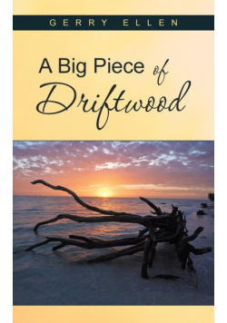 A Big Piece of Driftwood