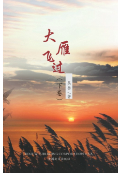 大雁飞过（下卷）