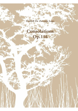 Consolations Op.116