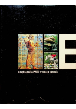 Encyklopedia PWN w trzech tomach tom 3