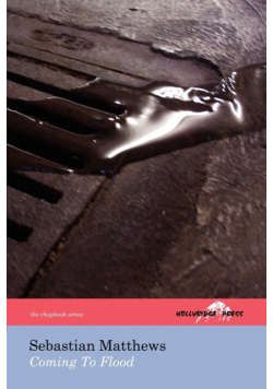 Coming To Flood (The Hollyridge Press Chapbook Series)