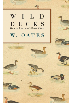 Wild Ducks - How to Rear and Shoot Them