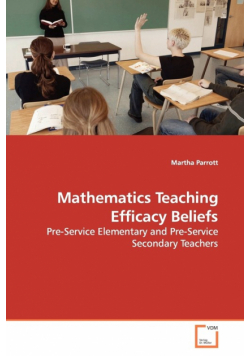 Mathematics Teaching Efficacy  Beliefs