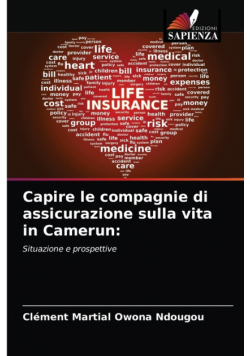 Capire le compagnie di assicurazione sulla vita in Camerun