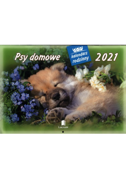 Kalendarz 2021 WL08 Psy domowe