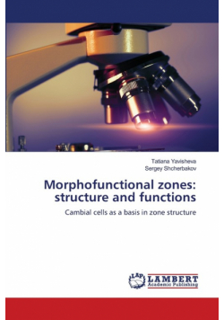 Morphofunctional zones