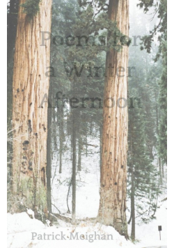 Poems for a Winter Afternoon