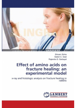 Effect of amino acids on fracture healing