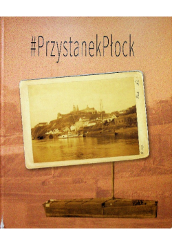 Przystanek Płock