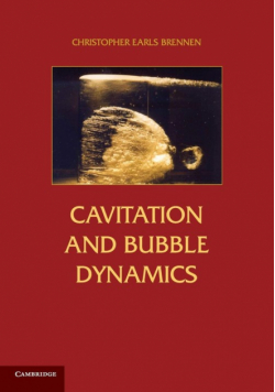 Cavitation and Bubble Dynamics