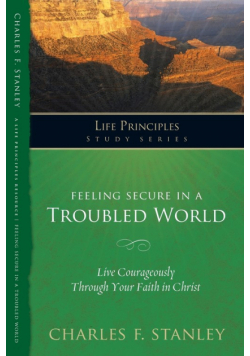 Feeling Secure in a Troubled World