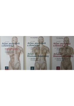 Atlas anatomii człowieka 3 tomy