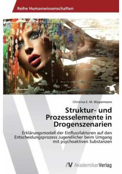 Struktur- und Prozesselemente in Drogenszenarien