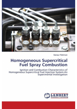 Homogeneous Supercritical Fuel Spray Combustion