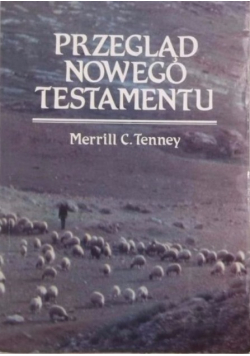 Przegląd Nowego Testamentu