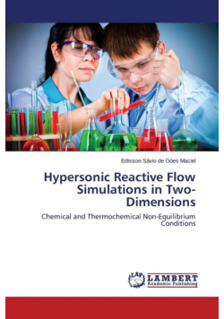 Hypersonic Reactive Flow Simulations in Two-Dimensions