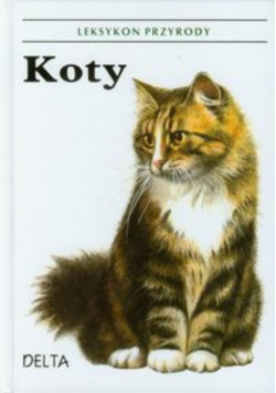 Koty Leksykon przyrody