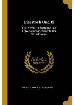 Eierstock Und Ei