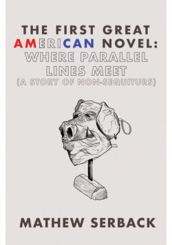 The First Great American Novel