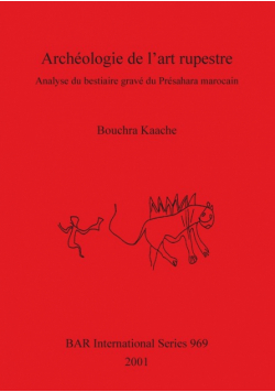 Archéologie de l'art rupestre