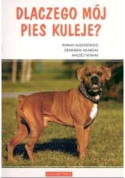 Dlaczego mój pies kuleje