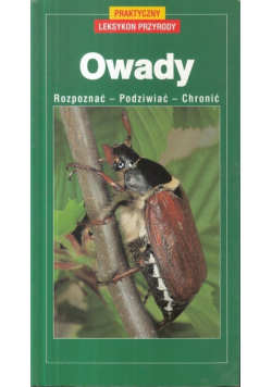 Owady rozpoznać podziwiać chronić