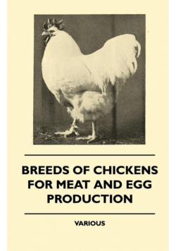 Breeds of Chickens for Meat and Egg Production