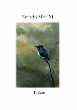 Everyday Mind XI