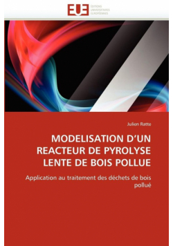 Modelisation d un reacteur de pyrolyse lente de bois pollue
