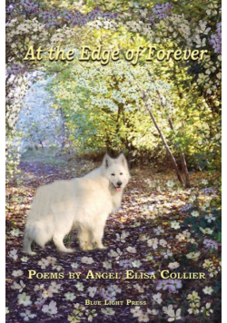 At The Edge Of Forever