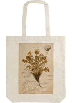 Torba bawełniana STBAG36 Anno 1550 Shopperka