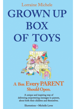 Grown Up Box Of Toys