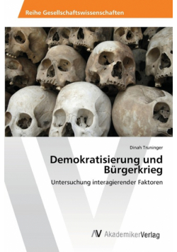 Demokratisierung und Bürgerkrieg